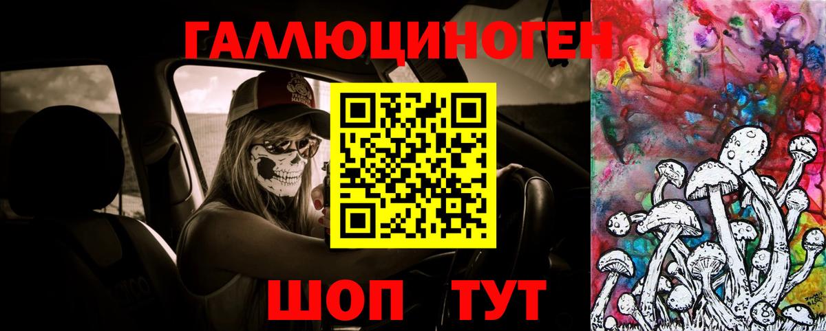 Псилоцибиновые грибы Psilocybine cubensis Миллерово